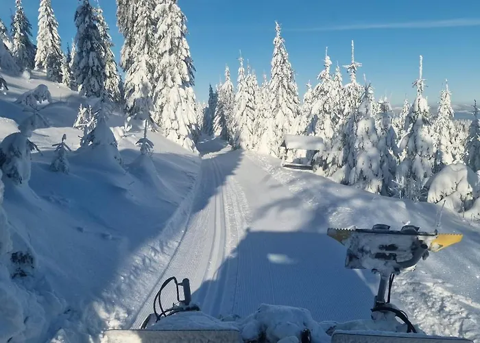 Kramarova * Orličky